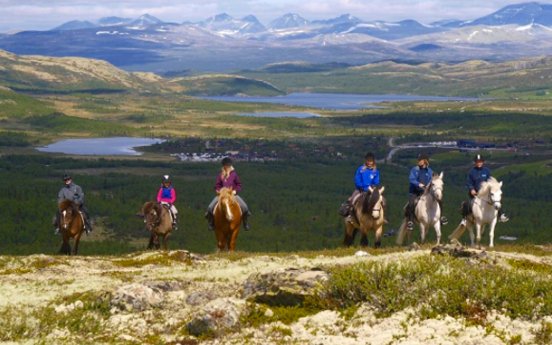 800x500-Venabustallen2-LarsTvete Rideturer på Dalseter i Espedalen