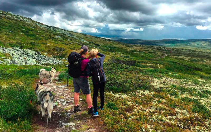 800x500-Flyvraket4-GunnarV. Aasbø-Skinderhaug Flyvraket4-GunnarV. Aasbø-Skinderhaug