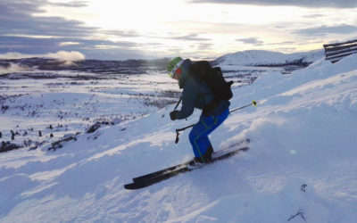 Oppdag de små alpinperlene i høyfjellet