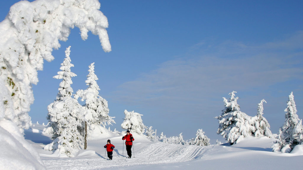 02 Lillehammerfjellet - et skieldorado-JørgenSkaug-Nordseter-16-9 Ut på langrenstur i Lillehammerfjellet