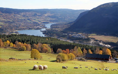 Møter, kurs og konferanser i Lillehammer og Gudbrandsdalen